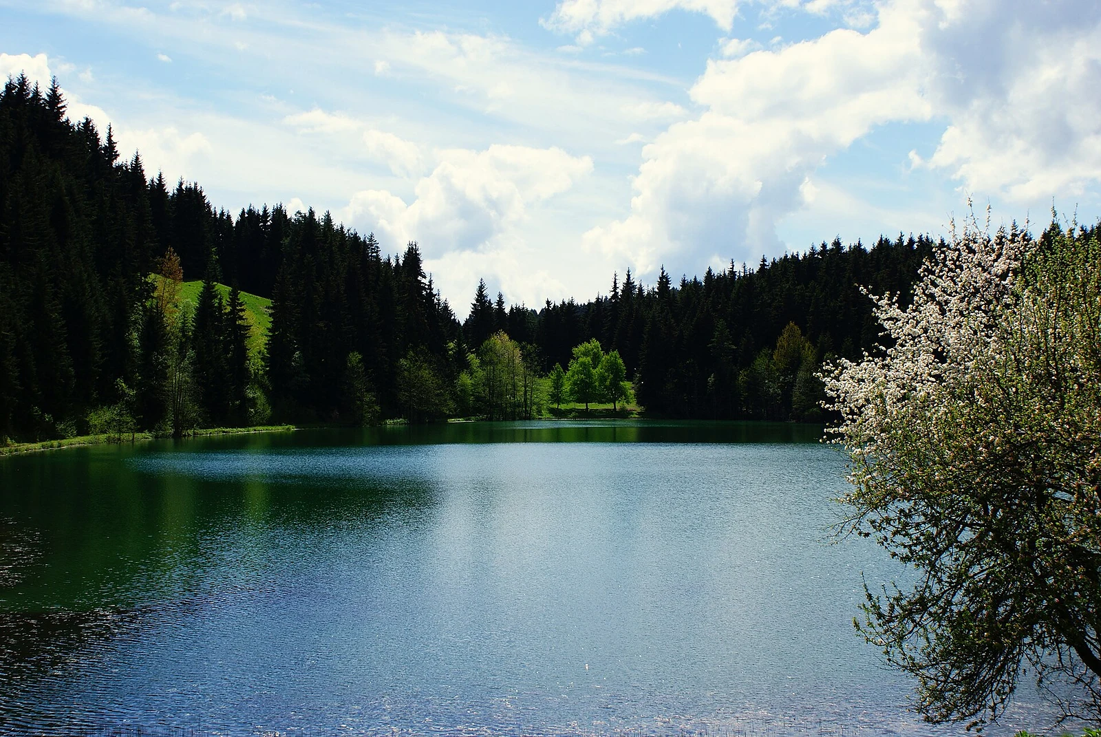 Artvin