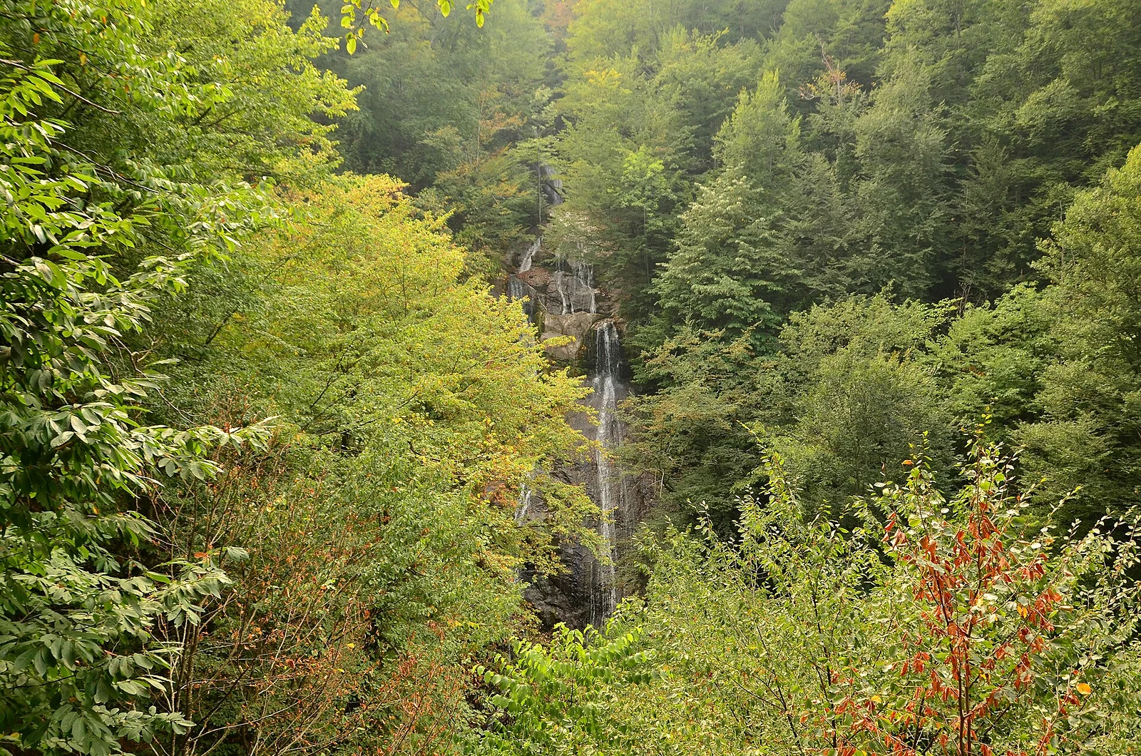 Düzce